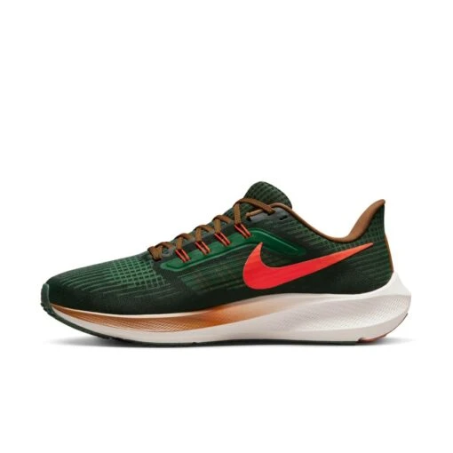 Nike Air Zoom Pegasus 39 A.I.R. Hola Lou Men'S Road Running Shoes -Nike DO9500 300 PHSLH001